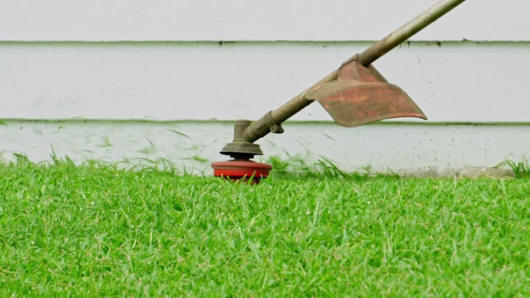 Lawn Watering Services in Clarkton, MO